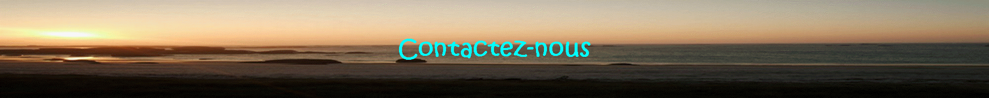 Contactez-nous