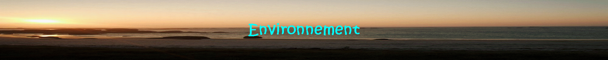 Environnement