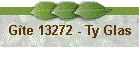 Gte 13272 - Ty Glas