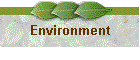 Environment